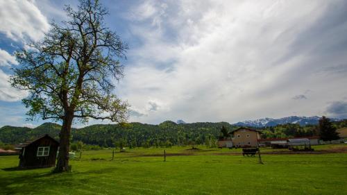  Gästehaus Dobernig in Sankt Niklas an der Drau