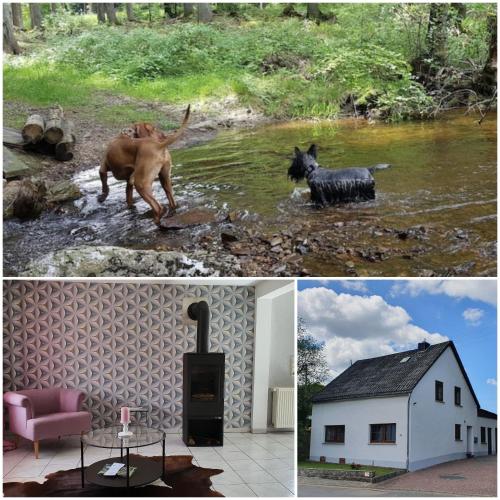 Nationalpark Ferienhaus SOPHIA-LUISA in Börfink, Deutschland