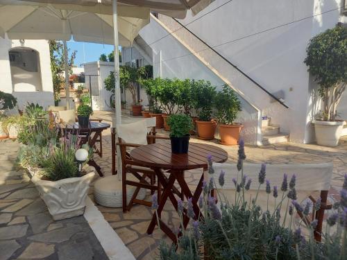 Stefanos Katsaros Studios - image 6