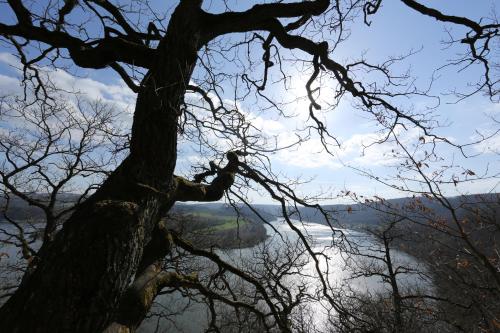 Ближайшие достопримечательности, Villa Alta in Бад-Вильдунген