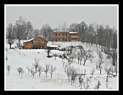 B&B Sările - Cabana Campus Caffe - Camere Individuale - Bed and Breakfast Sările