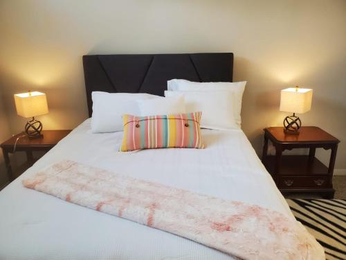 Cozy luxury apts close to everything Med Center/NRG/Museums/Zoo