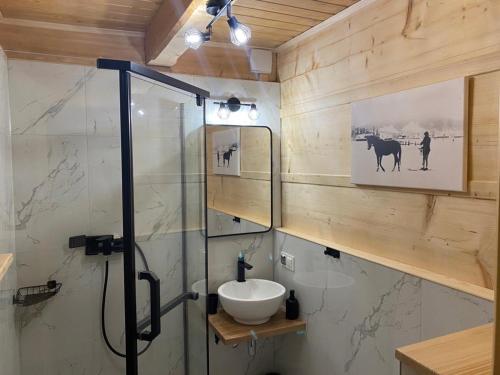 Góralski Domek Jasinek obrázok