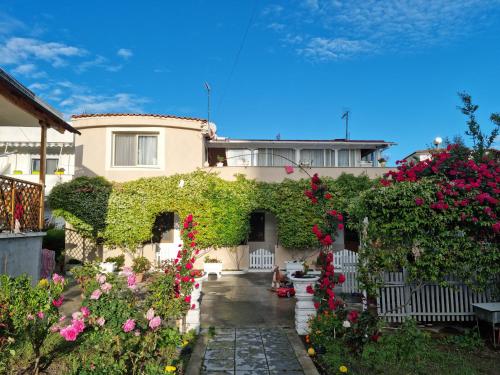GuestHouse NOVI