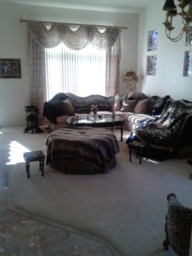 CATmosphere 2 in Henderson