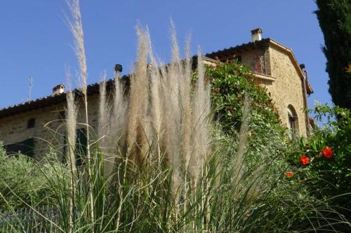 Casa Leonardo, Montaione, Mura