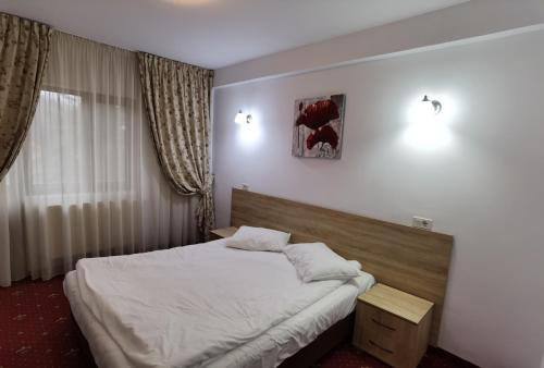 Hotel Spa Cazino Monteoru - image 11