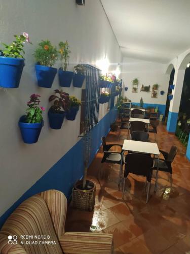  Hostal finca mirador in El Pedroso