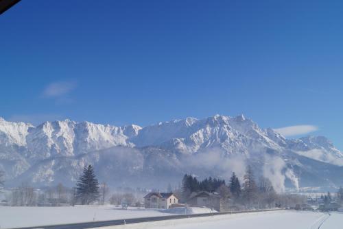 Bauernhof Grieslehen in Leogang