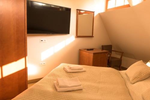 Hotel VÍTKOVA HORA - image 5