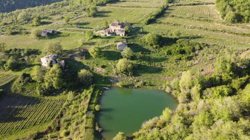 Agriturismo Podere Tegline - Hotel - Radda in Chianti