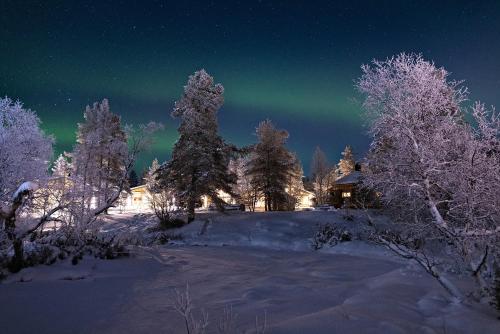 Polar Aurora Cabins