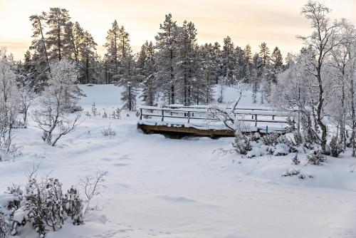 Polar Aurora Cabins