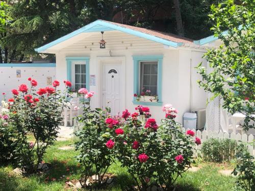  Poyraz Resort in Marmaraereğlisi