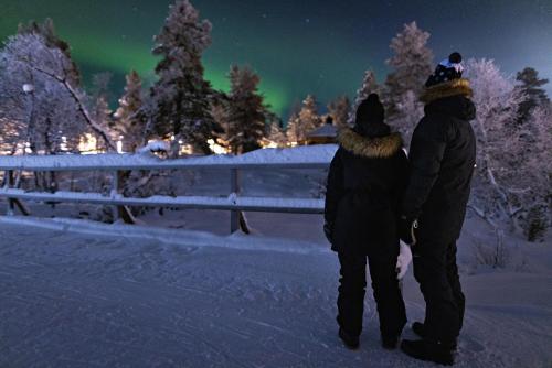 Polar Aurora Cabins