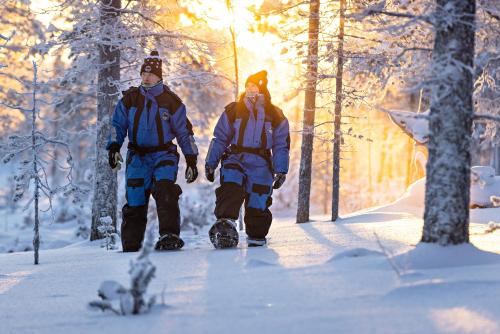 Polar Aurora Cabins - image 3
