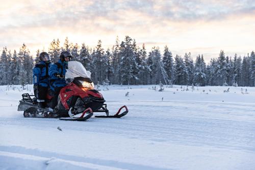 Polar Aurora Cabins