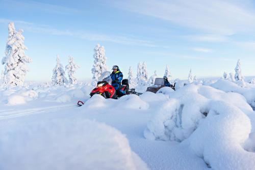 Polar Aurora Cabins