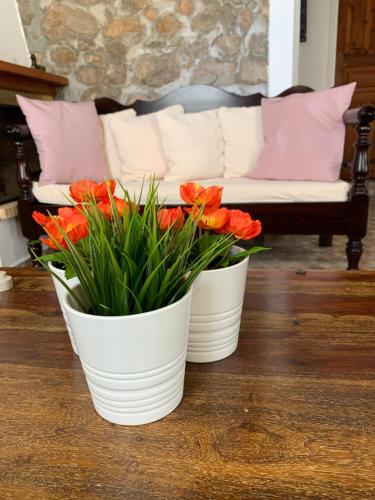 Althea Garden House - image 7