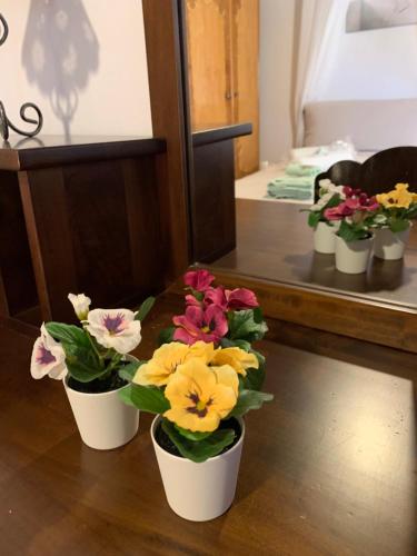 Althea Garden House Althea Garden House