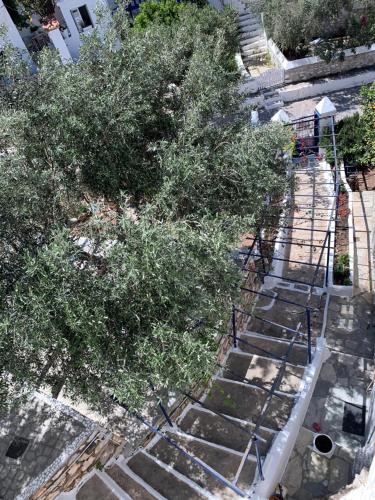 Althea Garden House Althea Garden House