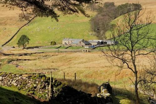 Kingsdale Head Cottage - Pen-y-ghent