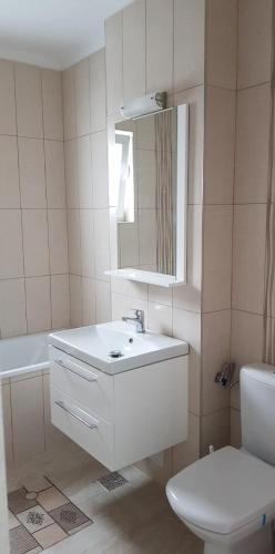 CASA LIVIA in Slatina