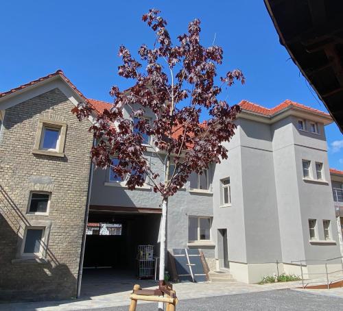 BürgerhausLöwen in Philippsburg, Deutschland