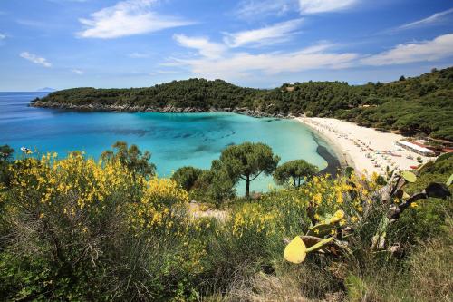 Appartamento Marea - La Tua Oasi sul Mare by HelloElba in Fetovaia