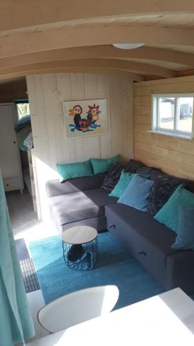 Tiny house op wielen Friesland