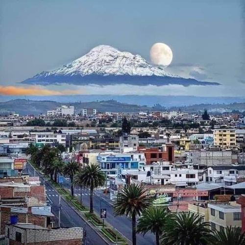 Hotel Bonaventure - Photo 4