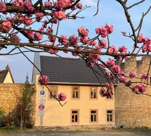 1899 Eltville in Eltville am Rhein, Deutschland