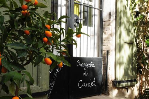 Orangerie de Cardet - Apartment L'Oranger