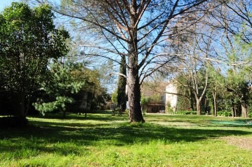 Orangerie de Cardet - Apartment L'Oranger