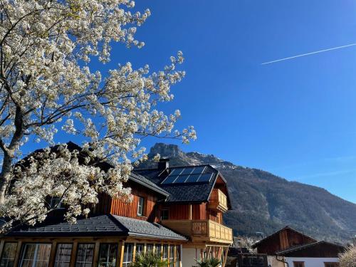 Ferienwohnung Flora Altaussee - Apartment