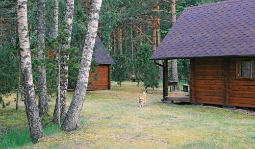 . Niidupuu Camping