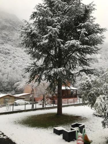 Appartement Tarascon sur Ariège