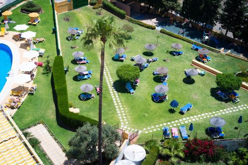 Hotel Monarque Torreblanca - image 4
