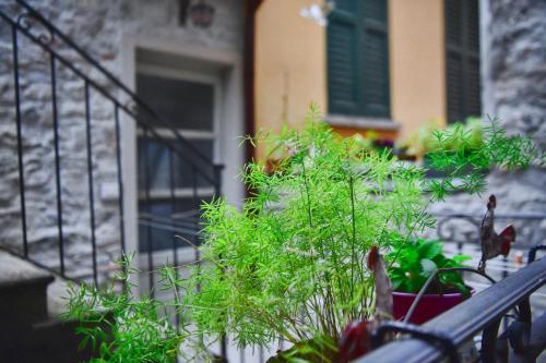 Easy Welcome Ca' del Pepoto