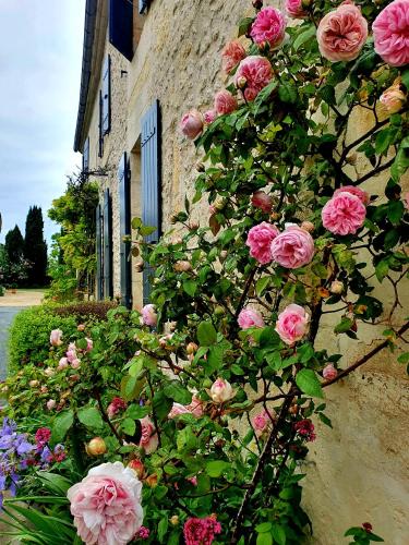 Le Clos de l'Amiral chambre d'hôte Saintes