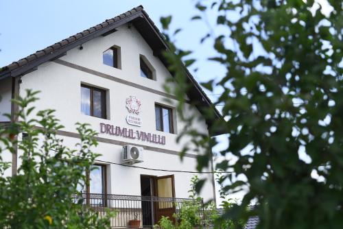 . DRUMUL VINULUI