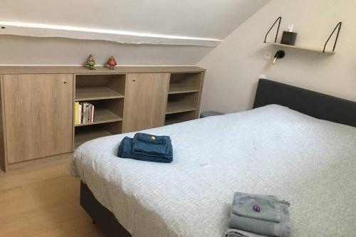 StudiO2 Ename, dakappartement in Vlaamse Ardennen, Oudenaarde (foto 9)