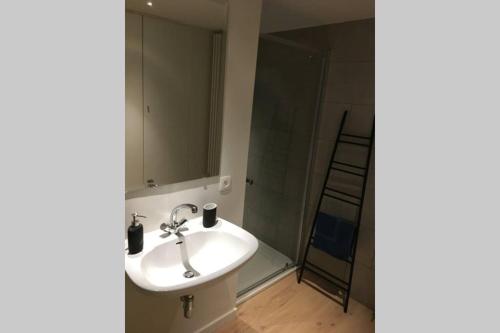StudiO2 Ename, dakappartement in Vlaamse Ardennen, Oudenaarde (foto 10)
