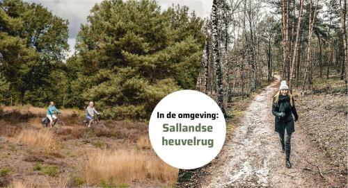 Twente 4 persons - image 5