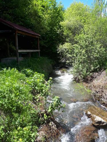 University Hotel Tsakhkadzor - image 5