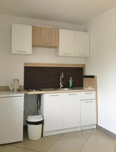 Apartamenty w Młynie