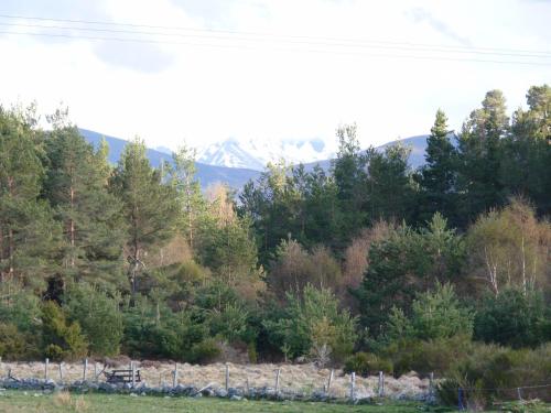 Tanleys B&B – Skye of Curr