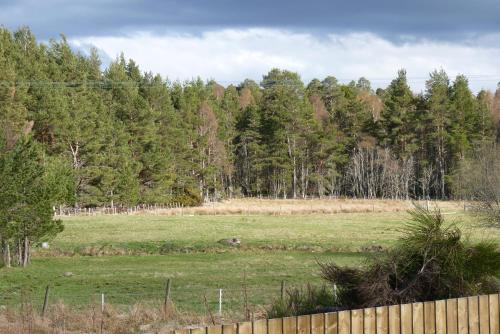 Tanleys B&B – Skye of Curr