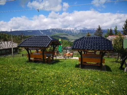 Pensiunea Edera Fundata 2021 Reviews Pictures Deals