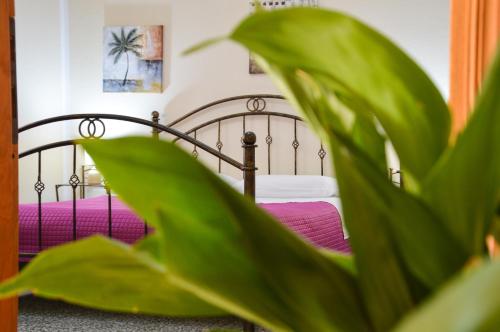 B&B La Genziana chambre d'hôte Tiana